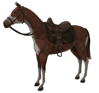 精品动物模型  马 (7)